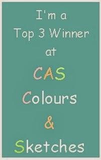 CAS Colours and Sketches Winner!