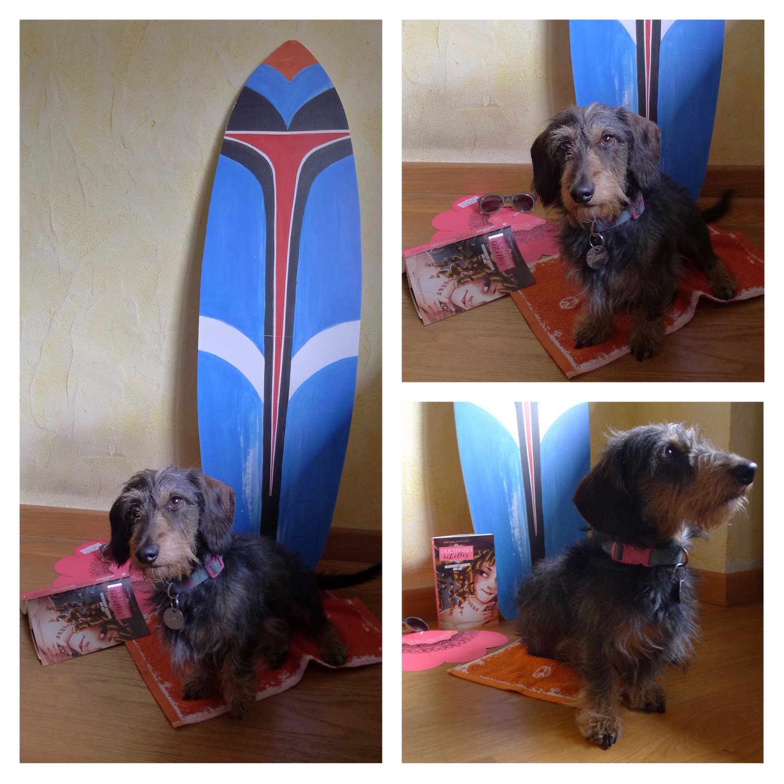 le blog d'Anne-Marie Desplat-Duc: Bonnes vacances