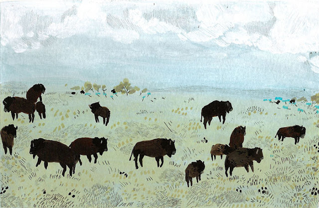 Animalarium: Sunday Safari - Return of the Buffalo