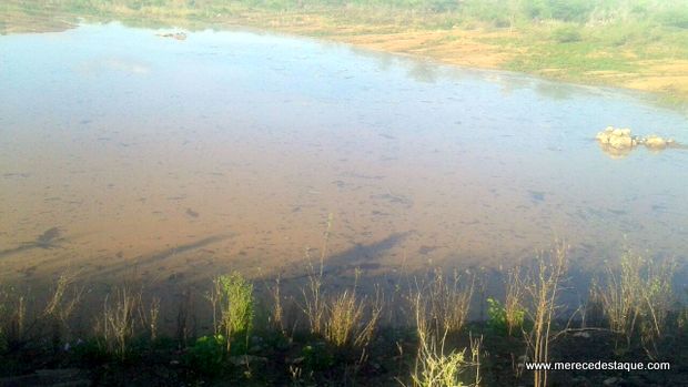 Açudes que estavam secos acumulam muita água após chuva do fim de semana na PB