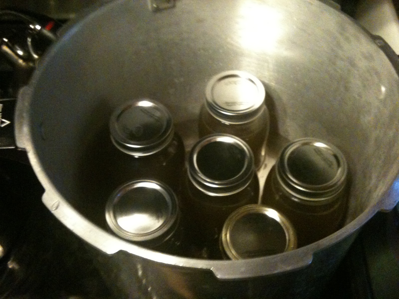 Homemade Alaska Canning Homemade Chicken Stock