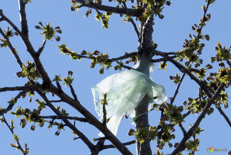 Collective Blog Fake plastic trees