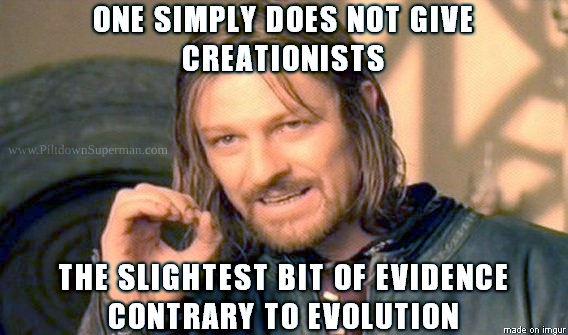An evolutionist wrote that an ancient carving looked like a dinosaur, and secularists went ballistic. Their evolutionary dogma is threatened. Again. Still. 