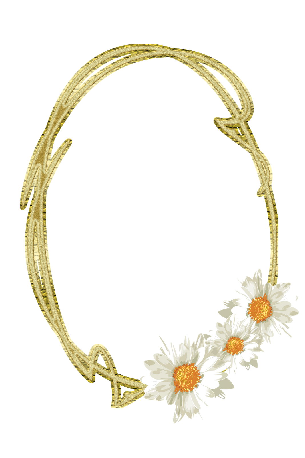 Frames PNG oval com flores | Imagens Png fundo transparente grátis