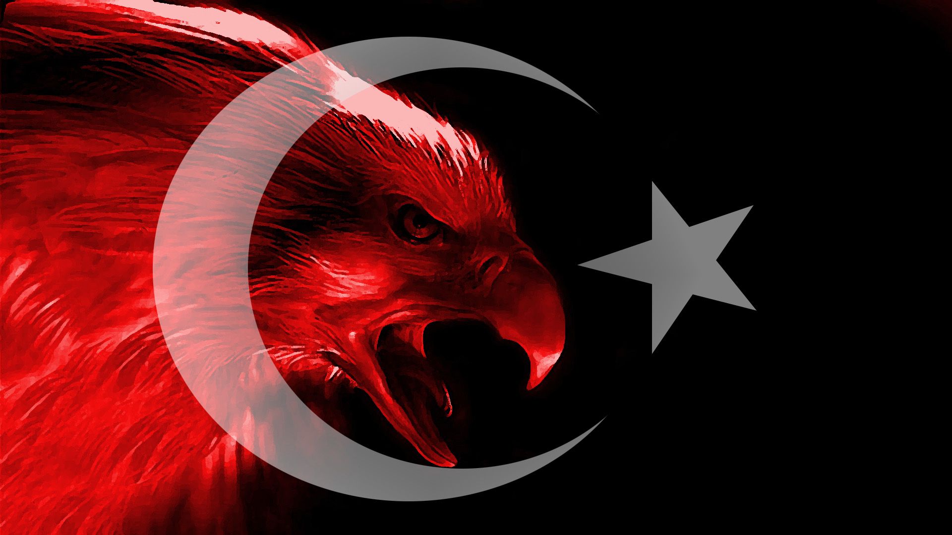 Kartal resimli turk bayraklari 8