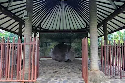 prasasti ciaruteun bogor