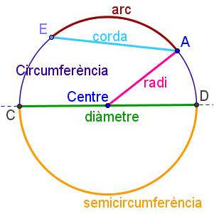 Resultado de imagen de circumferència i cercle