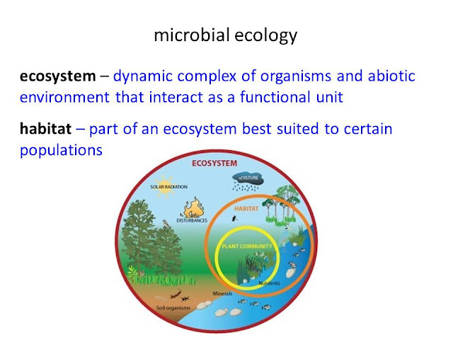 Introduction to Microbial Ecology