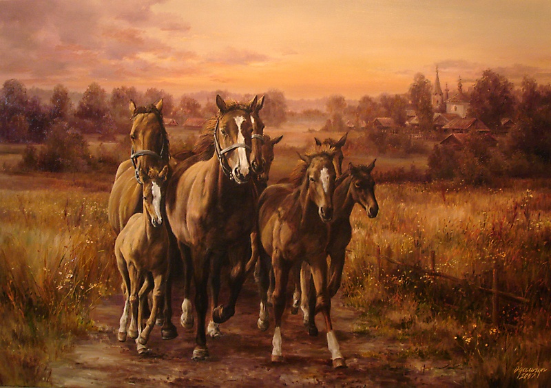 раздолье кони. лошадь с жеребенком на лугу. лошадь с жеребенком на лугу. конь в поле россия. лошадка в поле.