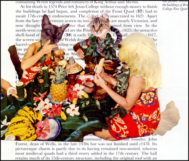 Oxford Cats altered book collages by Claudia MB
