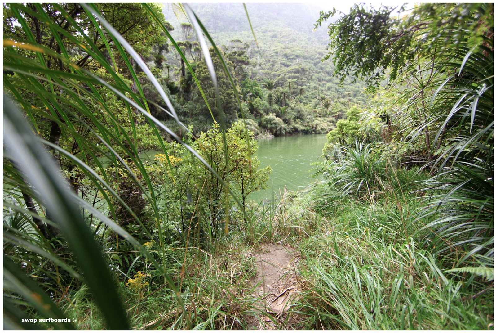 swop surfboards NEW ZEALAND 2/2 SOUTH ISLAND