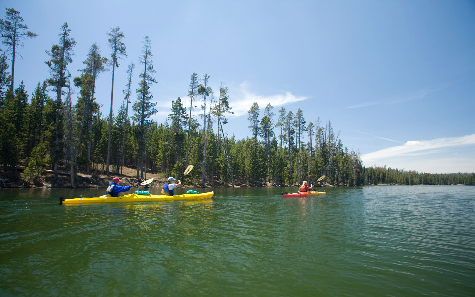 MEC&F Expert Engineers A kayak guide with Oars, 23yearold Timothy