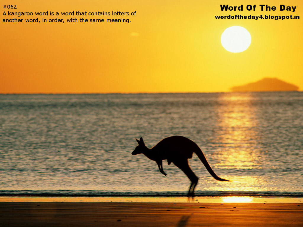 Word Of The Day: Kangaroo Words
