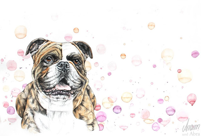 Continental Bulldog Nando, Aquarell nach Fotovorlage, DIN A3 Continental Bulldog Nando, Aquarell nach Fotovorlage, DIN A3