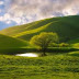 Top 10 Nature Images, Greetings, Pictures for whatsapp-bestwishespics