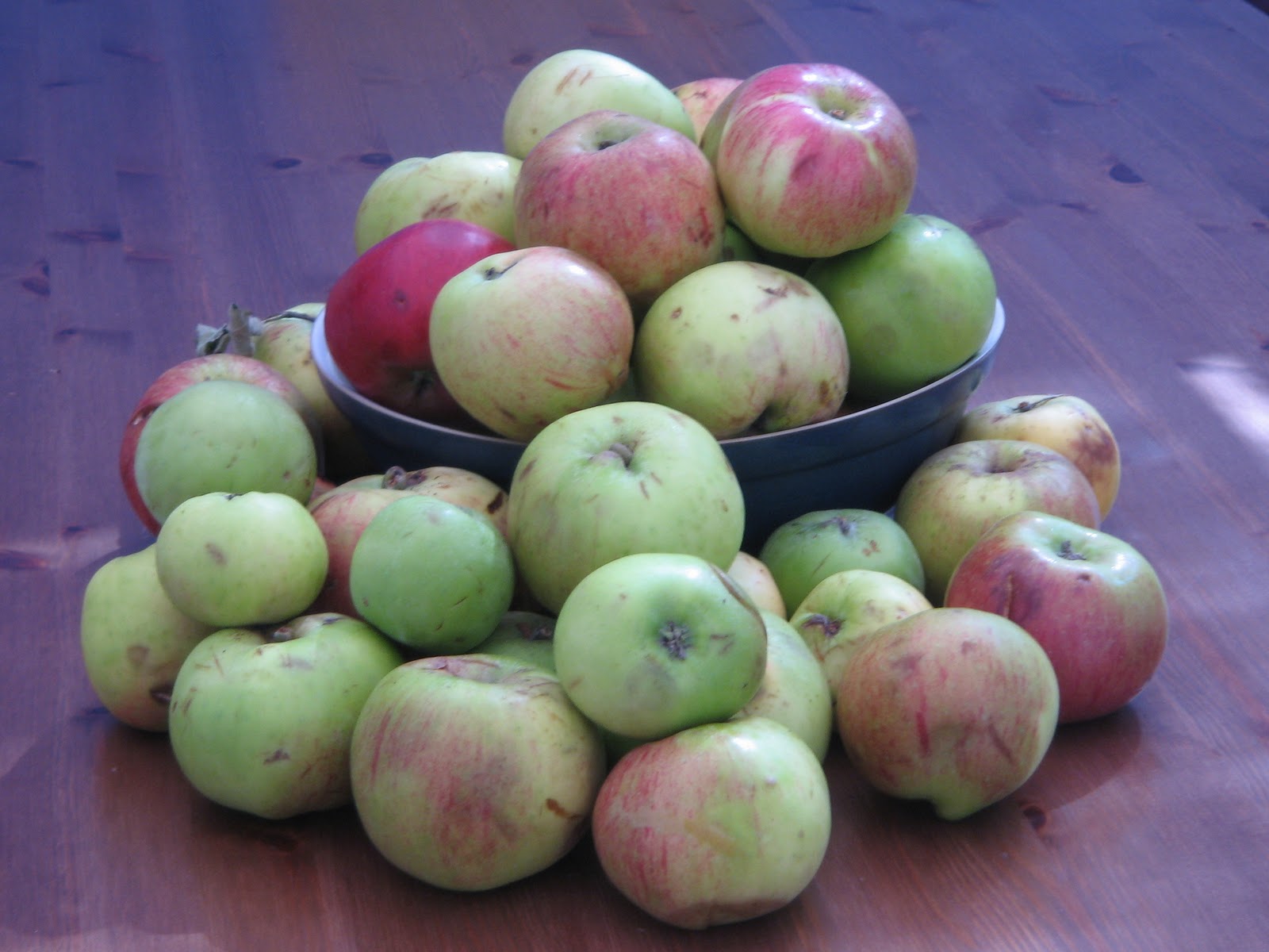 Some of my favourite food Bumper crop of apples