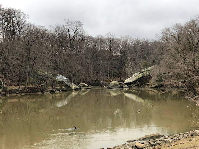 The Black River and rocky terrain at Cascade Park in Elyria, Ohio