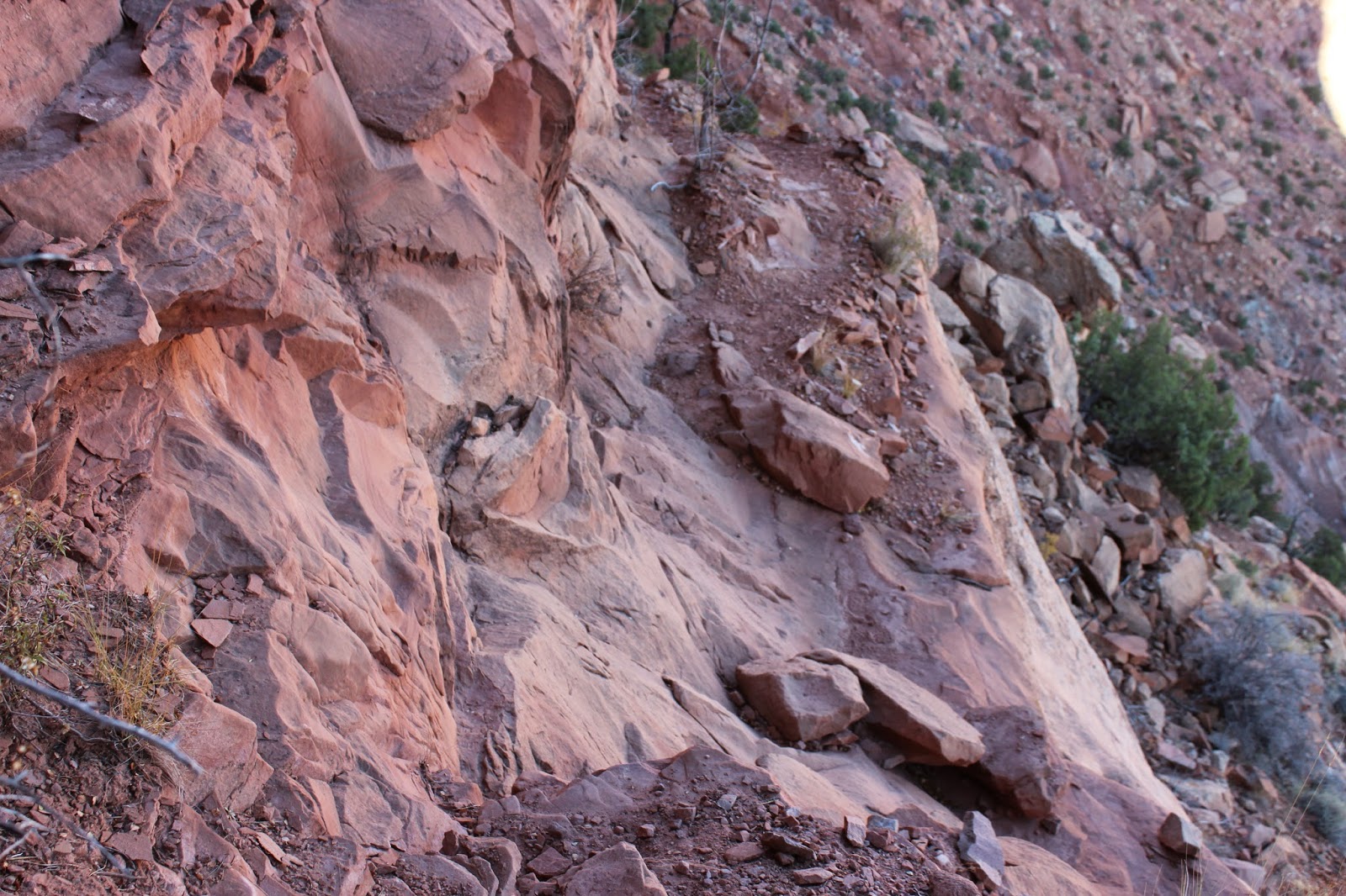 gooseberry mountain bike trail