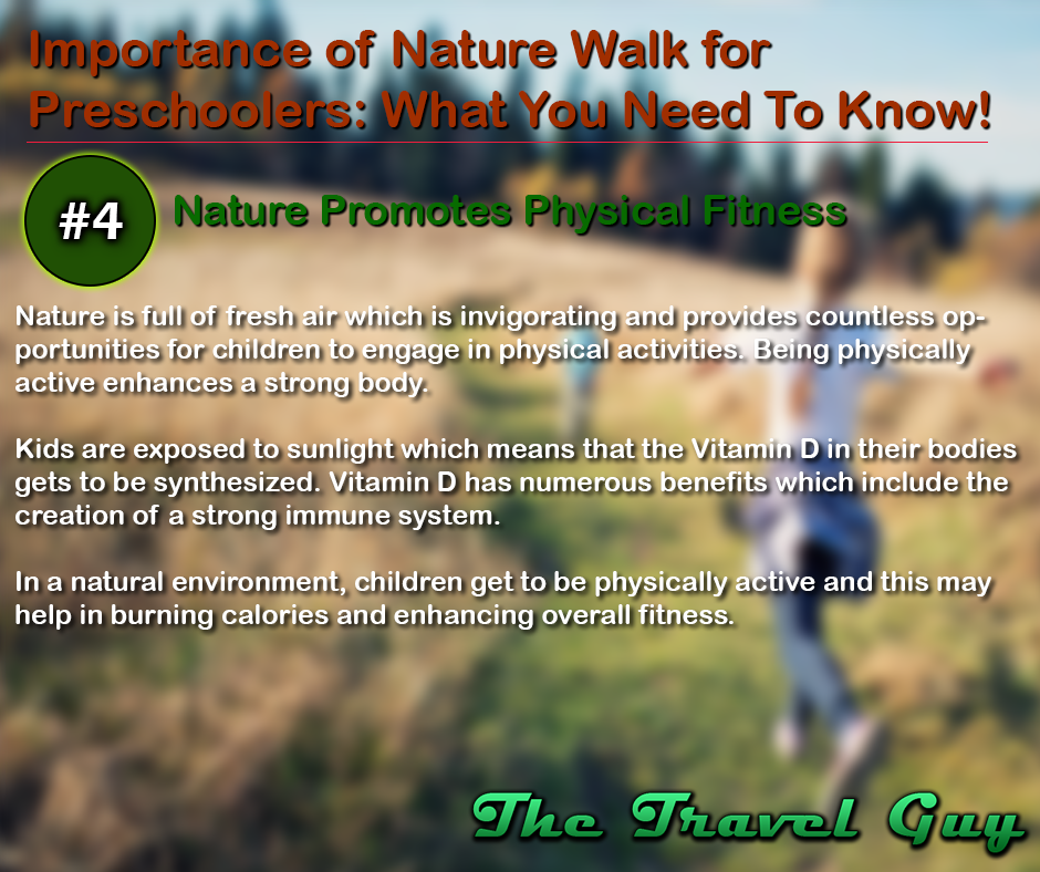 The Travel Guy Importance of Nature Walk for Preschoolers