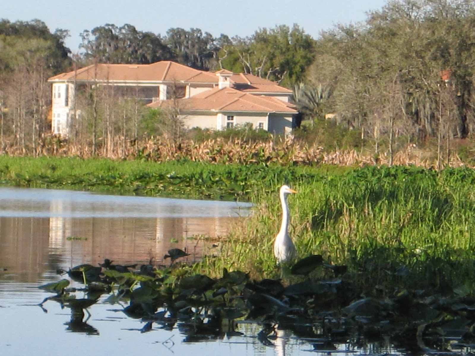 Thonotosassa Florida Baker Creek Boat Ramp on Lake Thonotosassa