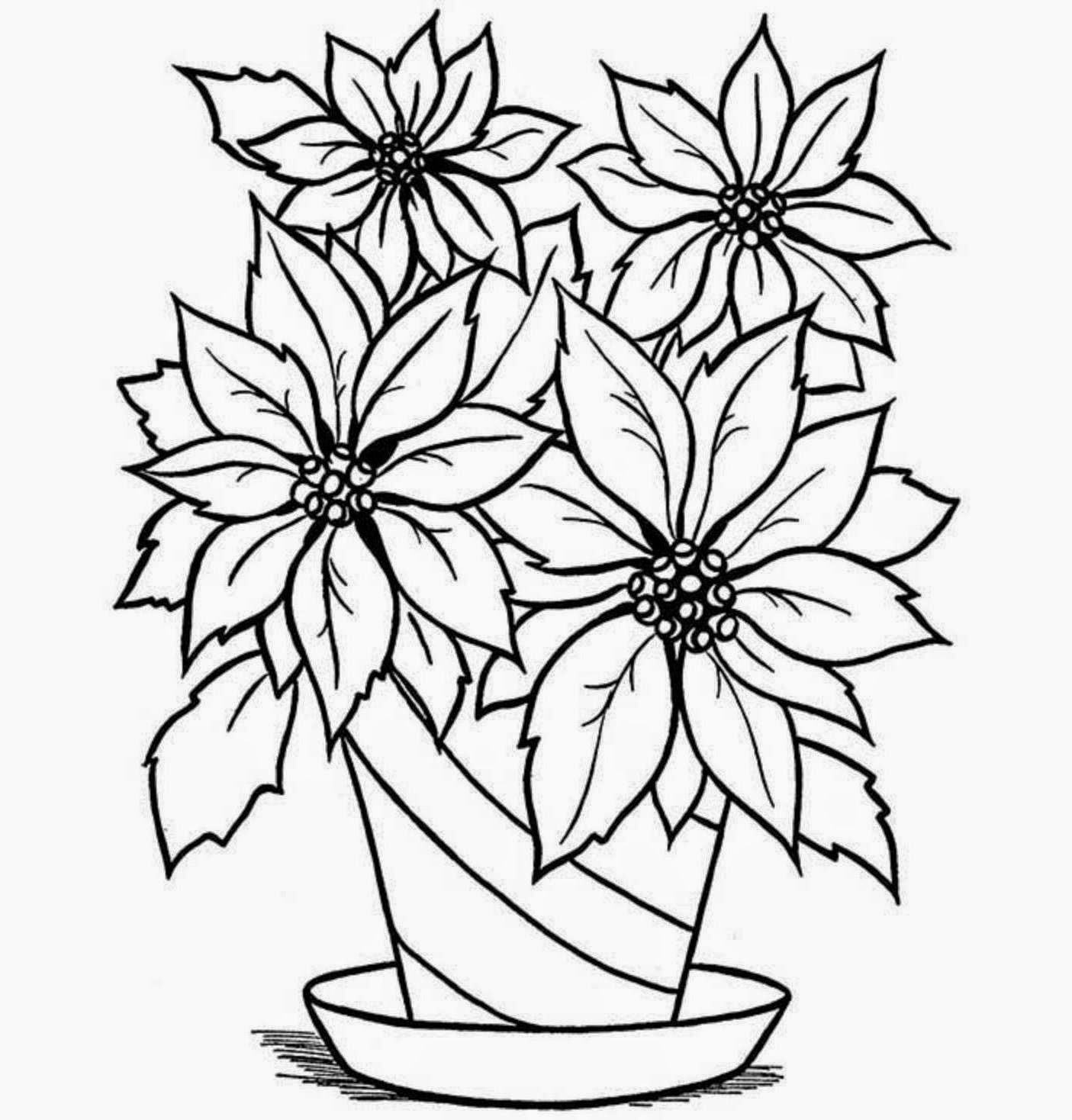 Flower Vase Drawing Images Top Collection Of Different Types Of