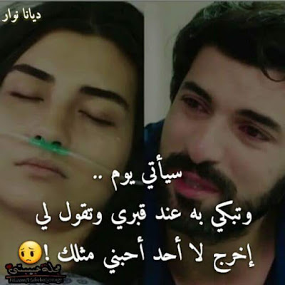 shof_a85e1350616425f