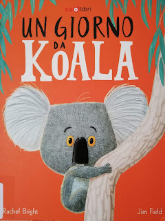Un giorno da koala