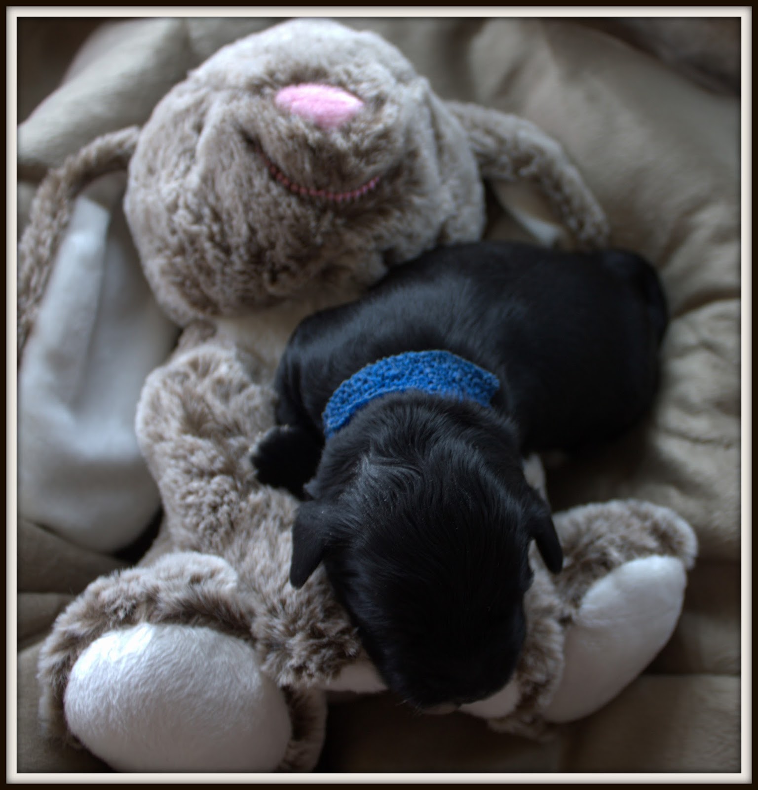 List 94+ Pictures what is a blue collar boy Updated List 94+ Pictures what is a blue collar boy Updated