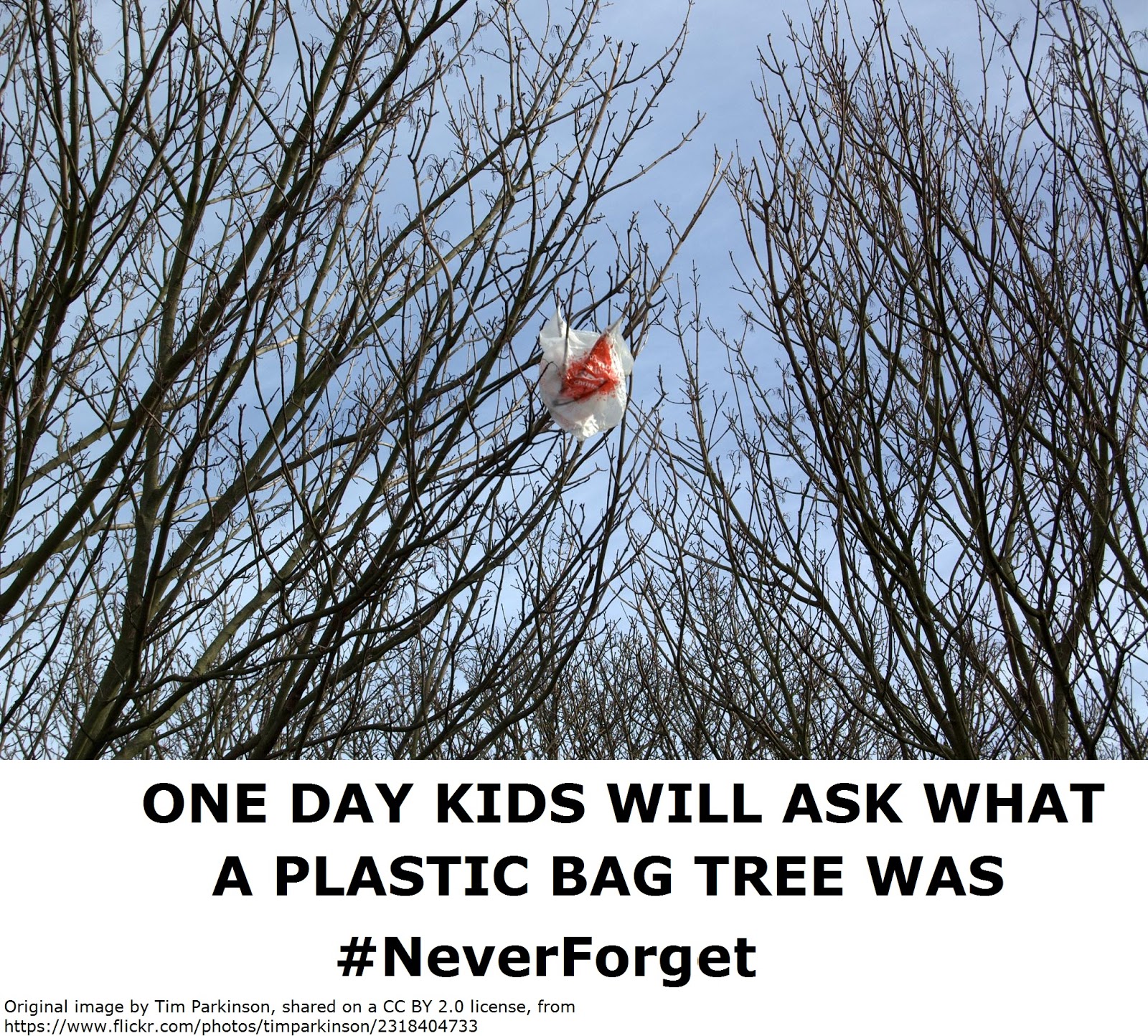 The Blog of Thog Plastic Bag Trees