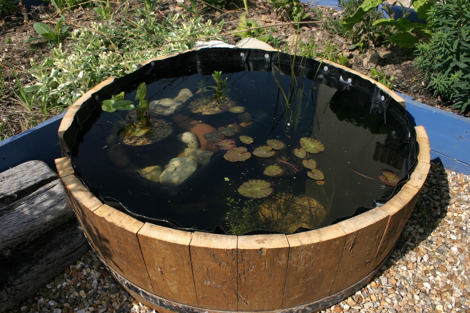 Great Little Minds Barrel pond 23/04/2011