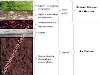 Layers Of Soil Diagram Layers Of Soil Diagram