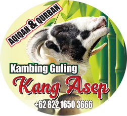 Supplier Kambing Guling Cimahi | 082216503666,Supplier Kambing Guling Cimahi,supplier kambing guling,kambing guling cimahi,kambing guling,