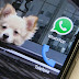 WhatsApp: Justiça do RJ manda bloquear aplicativo em todo o Brasil