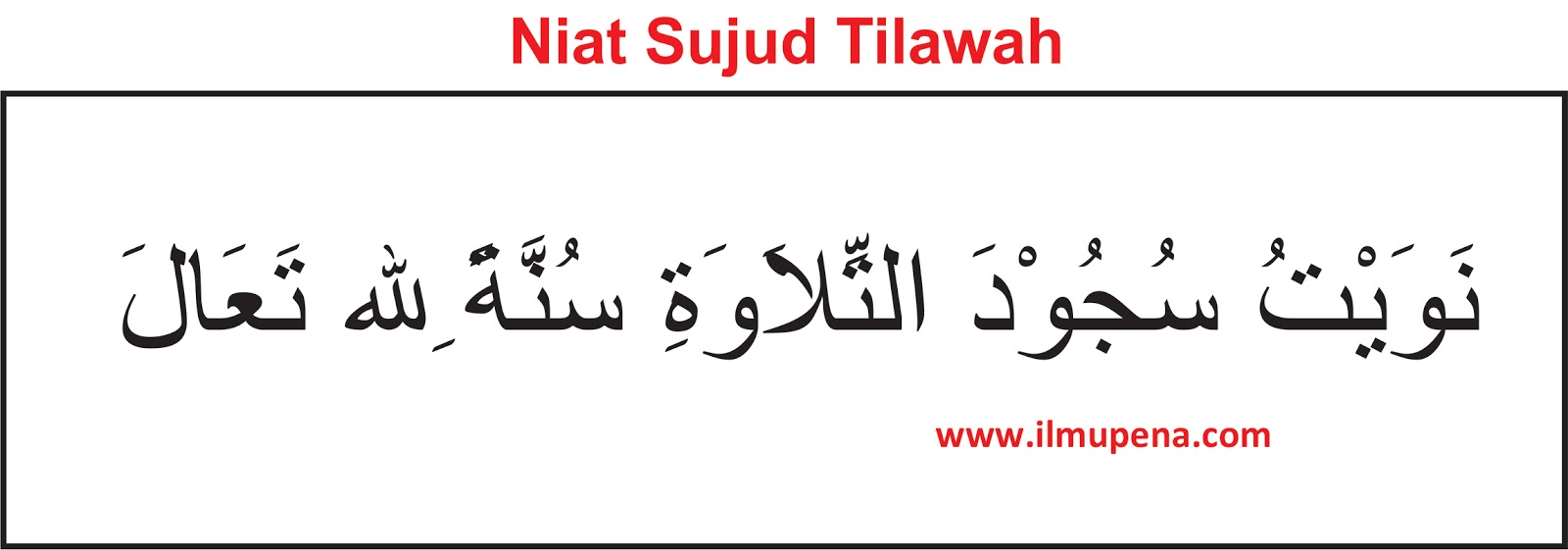Pengertian Sujud Tilawah dan Tata Caranya | IlmuPena.com