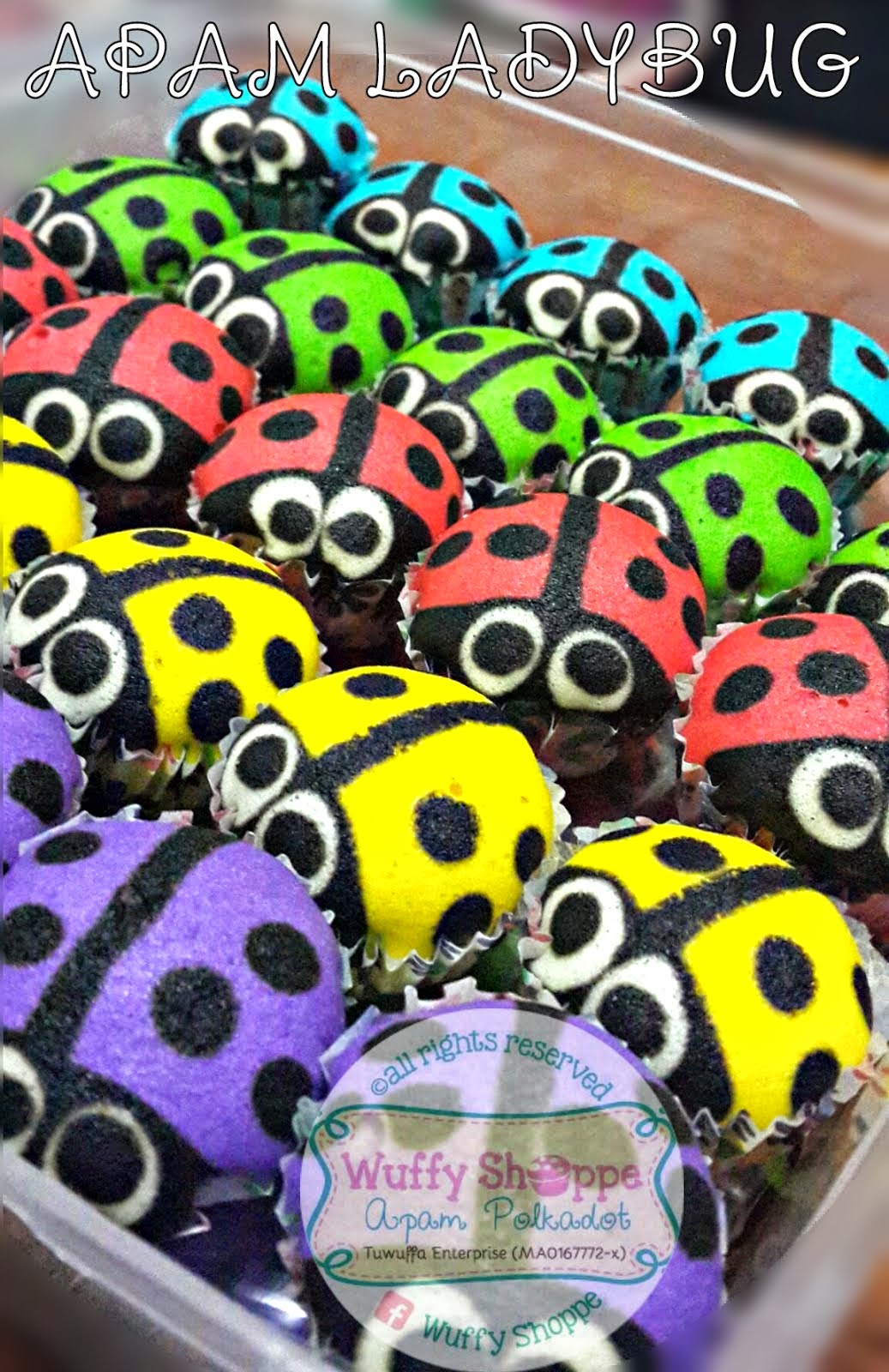 apam ladybug