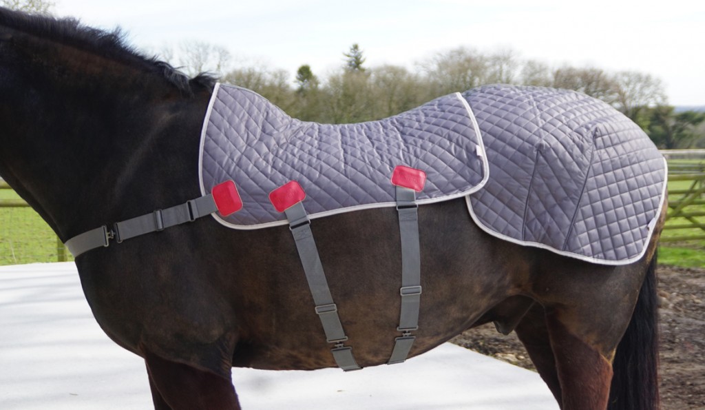 Horse Life and Love All About Therapy