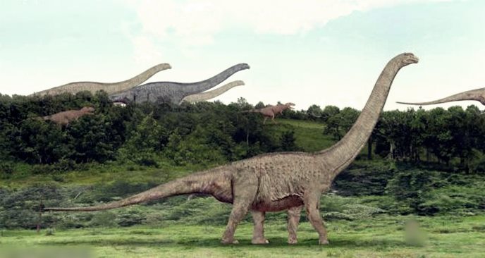 Inilah 5 Hewan Purba Terbesar Di Dunia Juanesia