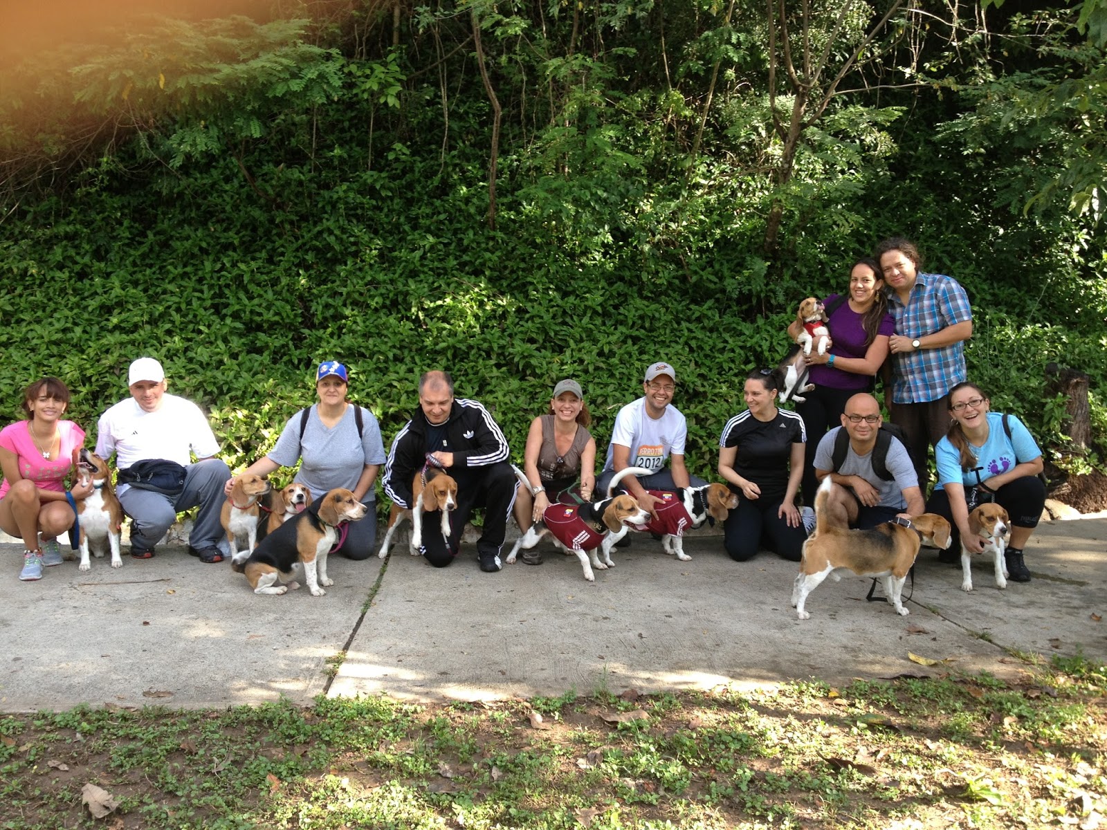 Caracas Beagles Club Paseo por la Montaña 1509