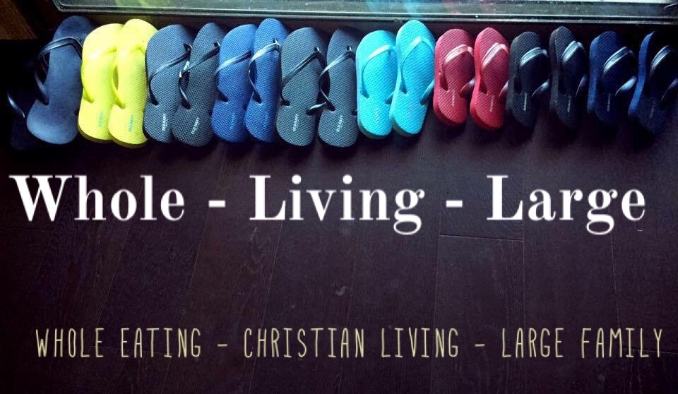 Whole living large simple protein pancakes gluten free dairy free 