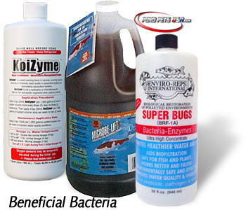 beneficial bacteria treatment