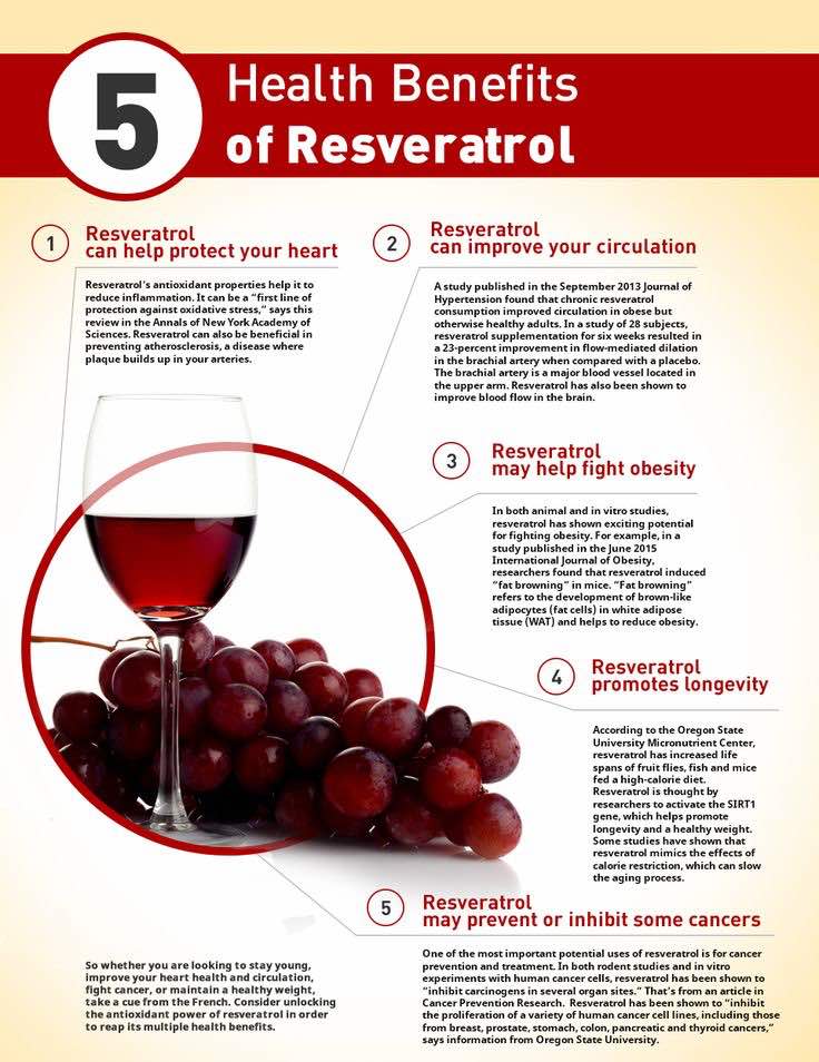 Better You Better World Apa sebenarnya Resveratrol? Pengedar Shaklee