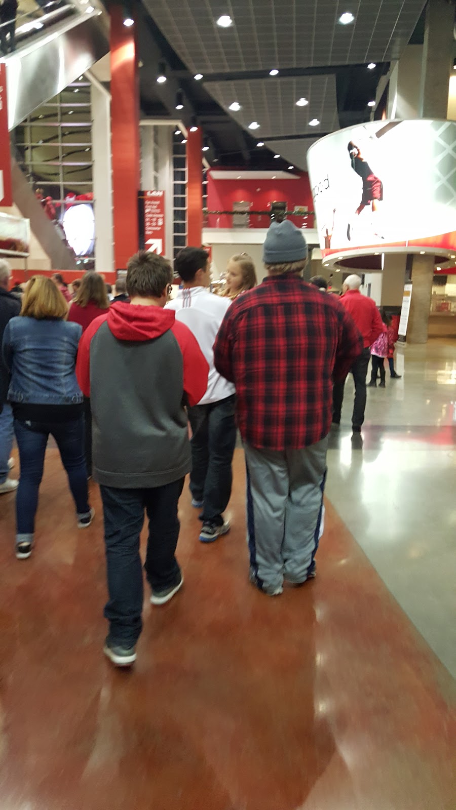 CatCardsBabies: U of L basketball game