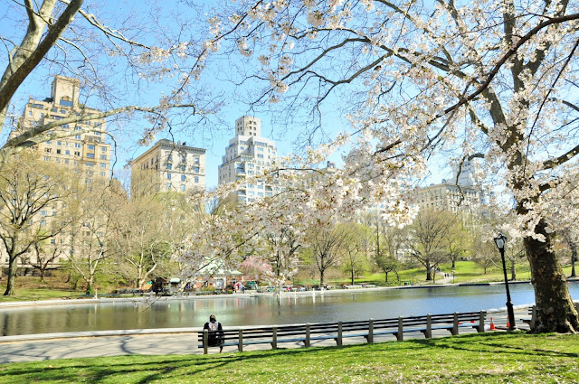 _DSC0226%2B%25282%2529.JPG