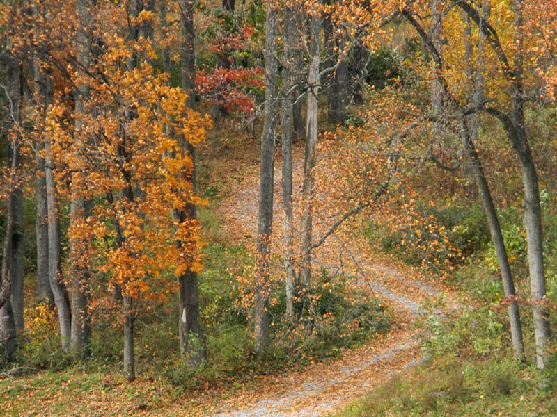 SWAC Girl Buffalo Gap western Augusta County