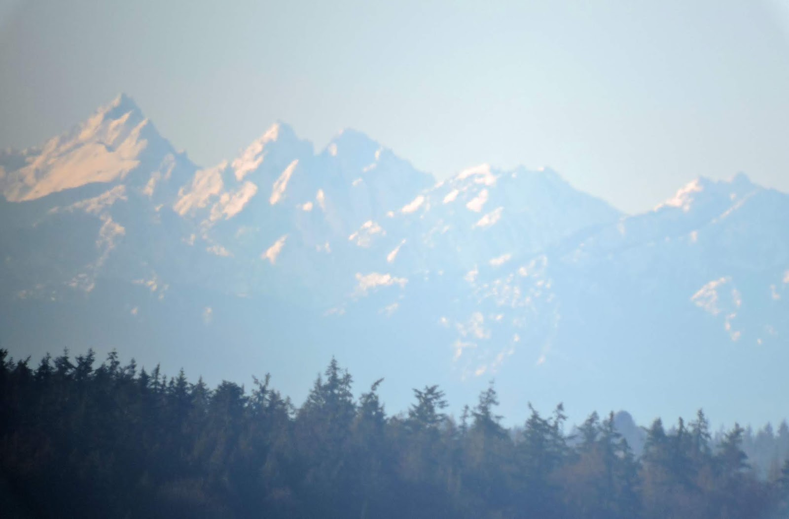 Scene Through My Eyes: The Olympic Mountain Range