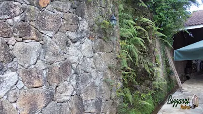 Muro de pedra com pedra moledo com a execução da cascata de pedra com a água caindo nas pedras em área de alimentação do Apiário Santo Antônio em Atibaia-SP com as mesas de madeira, as cadeiras de madeira e os guarda-sol.