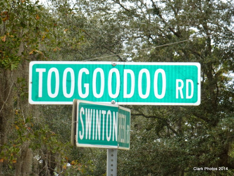 Road Runner TOOGOODOO Road