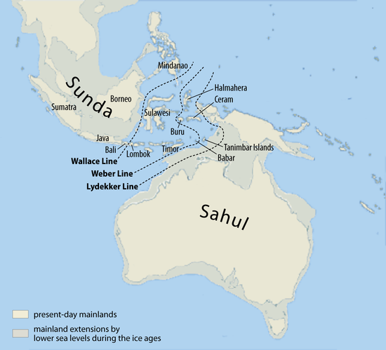 Sundaland adalah Atlantis yang Hilang - Historiana