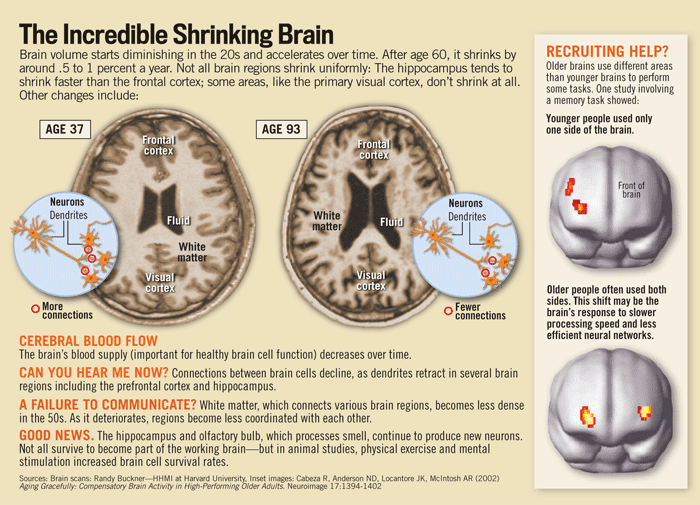 Pegaga Kelat BEWARE OF 'ShrinkingBrain'