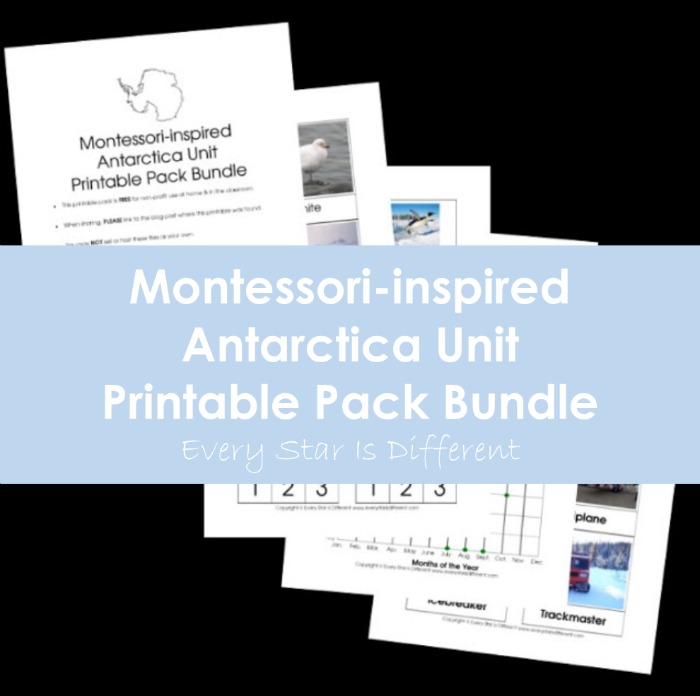 Montessori-inspired Antarctica Unit Printable Pack Bundle